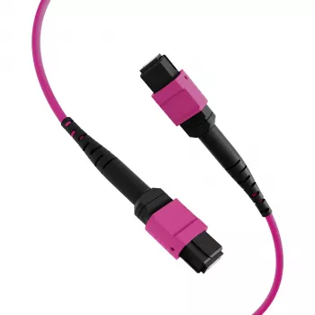 EFB Elektronik MPO-PLUS (F) auf MPO-PLUS (F) OM4 Multimode LWL-Patchkabel, 8 Fasern, Typ B, LSZH, Erika Violett, 2m MPOF8MPOFOM4-2