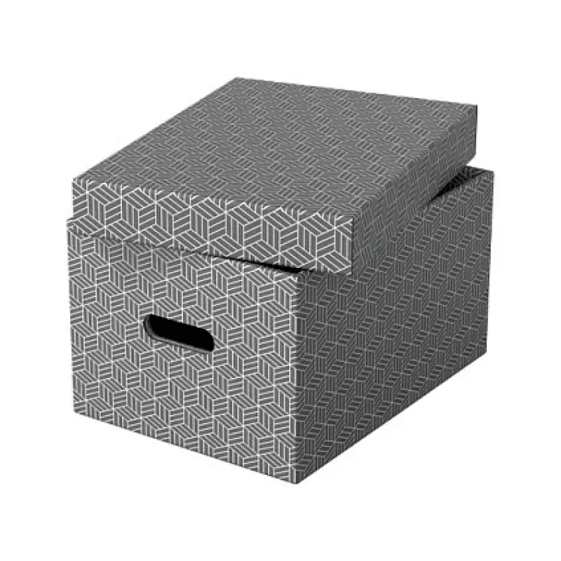 Esselte Aufbewahrungsbox Home M, 17,5 L, 26,5 x 36,5 x 20,5 cm, 3er-Pack, Weiß/Grau (628283)