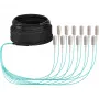 EFB Elektronik Trunk-Kabel U-DQ ZN BH OM3 12G 1x12 SC-SC 30m Dca LSZH O8341S30OM3