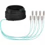 EFB Elektronik Trunk-Kabel U-DQ ZN BH OM3 8G 1x8 SC-SC 30m Dca LSZH - 30 m O8321S30OM3