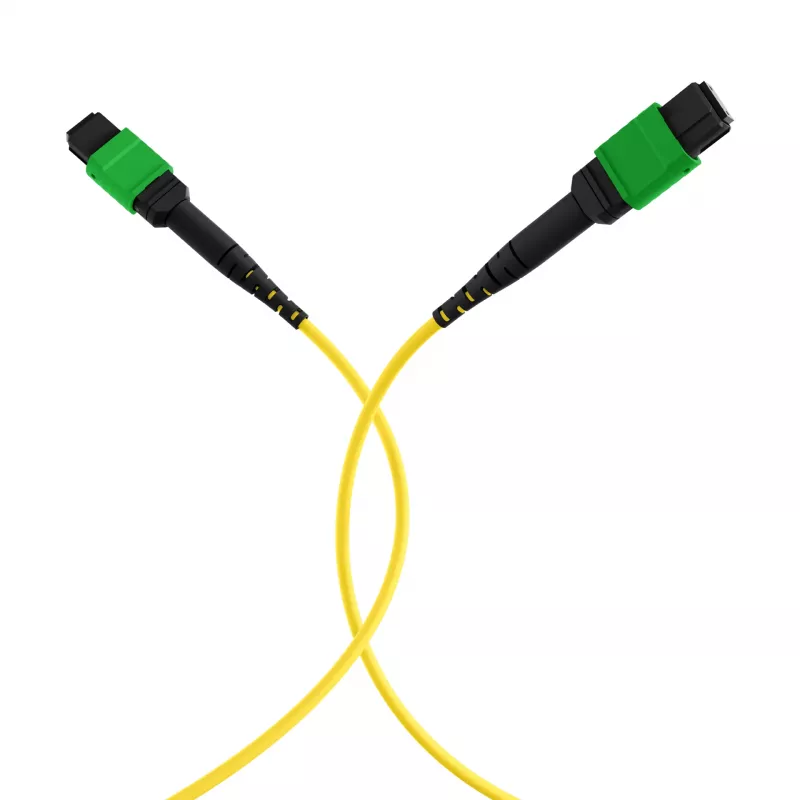 EFB Elektronik MPOF8MPOFOS2-3 MPO-PLUS APC Buchse zu MPO-PLUS APC Buchse OS2 Singlemode 8-Faser Typ B LSZH Gelb Patchkabel, 3 m