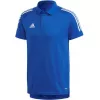 adidas Condivo 20 Herren-Poloshirt Team Royal Blue/White ED9237 Größe S