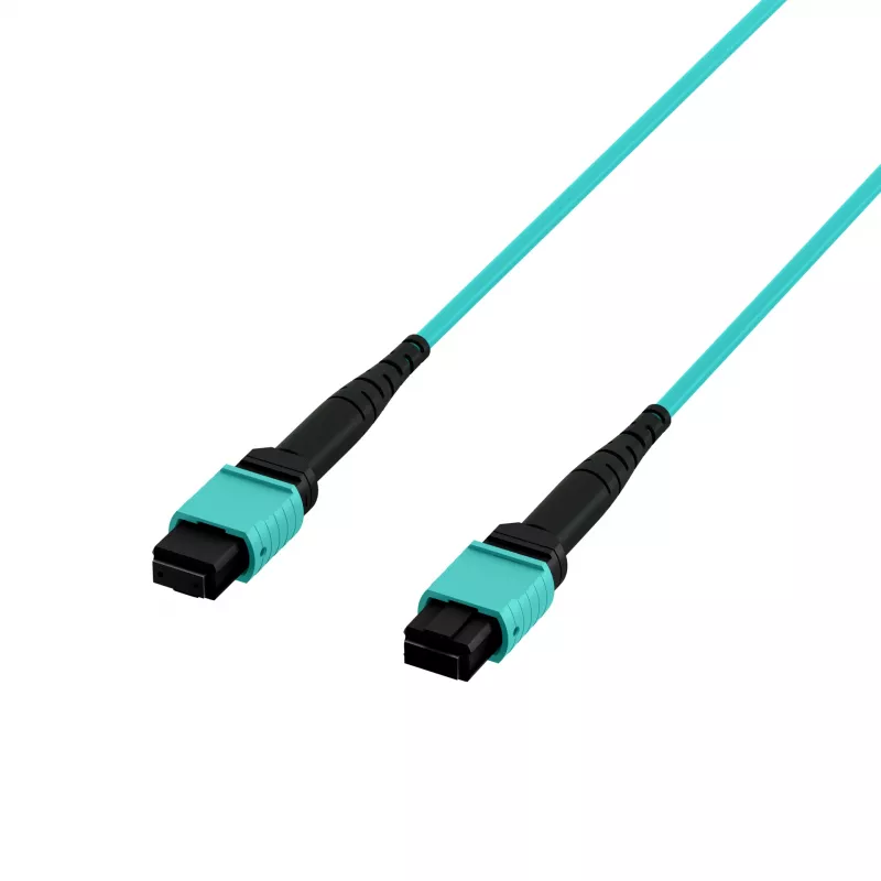 EFB Elektronik MPOF12MPOFOM3-2 MPO-PLUS Buchse auf MPO-PLUS Buchse OM3 12-Faser Typ B LSZH Aqua Patchkabel, 2 m
