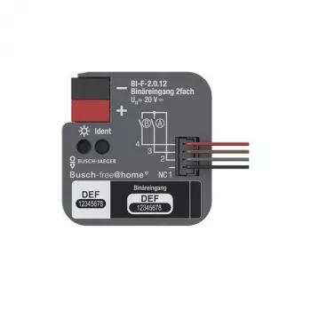BUSCH-JAEGER KNX Binäreingang 2-fach Unterputz BI-F-2.0.12 (2CDG510023R0021)