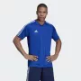 Adidas Tiro 19 Trainingstrikot kurzarm, Polyester