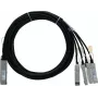 BlueLAN 2m 40G QSFP auf 4x 10G SFP+ passives Direct Attach Breakout-Kabel, Centec-kompatibel (CAB-Q-S-2M-CT-BL)