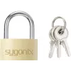 Sygonix SY-5045288 Messing-Vorhängeschloss 29,8 mm gleichschließend? Nein, verschiedenschließend Gold-Gelb