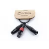 Cordial EY 0,3 MFF XLR Y-Adapter Kabel - 1x XLR Stecker auf 2x XLR Buchse, 0,3 m, Schwarz 14881