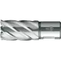 BDS HSS Kernbohrer 14 mm x 30 mm Weldon-Schaft KBK-014