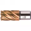 BDS HSS VarioPLUS 12 mm Kernbohrer mit Weldon-Schaft, 30 mm Schnitttiefe KBK-VP012