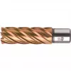 BDS HSS VarioPLUS 17 mm Kernbohrer, 55 mm Schnitttiefe, Weldon-Schaft KBL-VP017