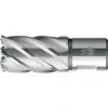 BDS HSS Kernbohrer Standard 17,0 mm Schnitttiefe 30 mm Weldon-Schaft (KBK-017)