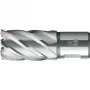 BDS HSS Kernbohrer Standard 17,0 mm Schnitttiefe 30 mm Weldon-Schaft (KBK-017)