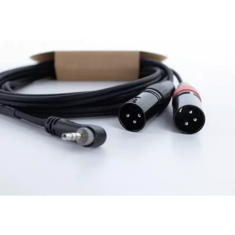 Cordial EY 1 WRMM XLR Y-Adapter Kabel 3,5mm TRS Stecker auf 2x XLR Stecker 1m Schwarz 14873