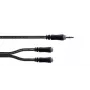 Cordial 14883 3,5 mm Stereo-Y-Adapterkabel, 1x Klinke Stecker auf 2x Klinke Buchse, 0,3 m, Schwarz
