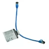 IT-BUDGET Cat.8.1 Slim Ethernet Patchkabel, S/FTP, 40Gbps, 2000MHz, LSZH, PoE+, Blau, 0,5m 90ITBSLIM81PK050B
