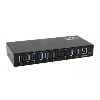 EXSYS EX-11290HMS USB 3.2 Gen 1 10-Port Hub mit 12V/5A Netzteil