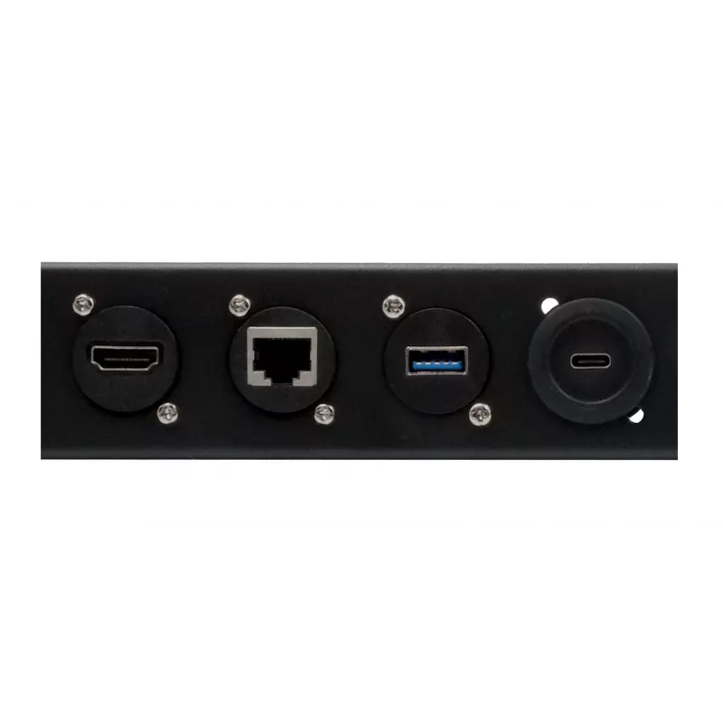 EXSYS EX-49299 19 inch 1U Rack-Panel mit 12 D-Typ-Aussparungen und Kabelmanagement-Leiste