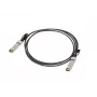 Lanberg SFP+ Direct Attach Kabel 3m Schwarz 10Gbps Kupfer Twinax Passiv