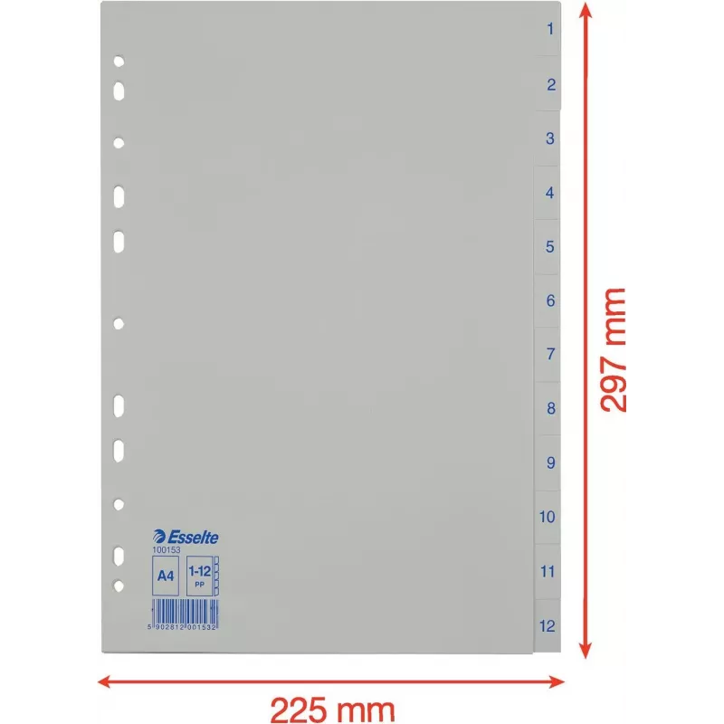 LEITZ Esselte Kunststoff-Register, nummeriert 1-12, A4, weiß, Universal-Lochung, 10 Sets (100153)