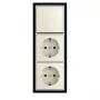 BUSCH-JAEGER Kombinations-Wippschaltereinsatz 2-fach Wechselschalter 10A 250V Unterputz 2TKA00005545