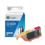 G&G kompatible Tintenpatrone für Canon CLI-42LGY (Hellgrau, 6391B001) 10285