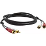Kramer C-2RAM/2RAM-10 Koaxial-Audiokabel RCA Stecker auf RCA Stecker 3,0m Schwarz 95-0202010