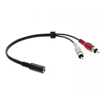 Kramer C-A35F/2RAM-1 Audio-Adapterkabel - 3,5 mm Buchse auf 2x RCA Stecker, 30 cm, Schwarz