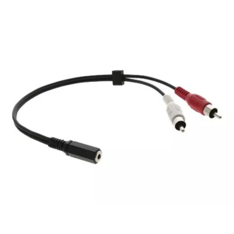 Kramer C-A35F/2RAM-1 Audio-Adapterkabel - 3,5 mm Buchse auf 2x RCA Stecker, 30 cm, Schwarz