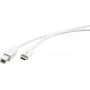 Kramer Electronics C-USB/CB-6 USB 2.0 Kabel, USB-C Stecker auf USB-B Stecker, 1,8 m, Weiß 96-02357106