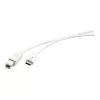 Kramer C-USB/CB-10 USB 2.0 Kabel, USB-C Stecker auf USB-B Stecker, 3 m, Weiß 96-02357110
