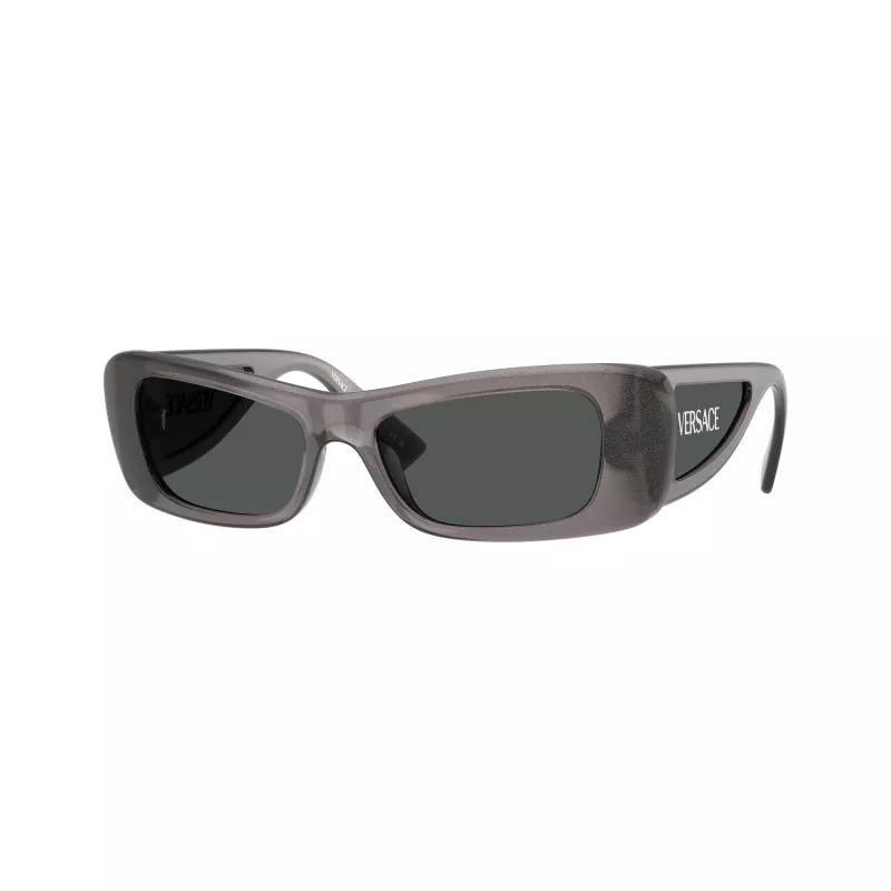 Versace Damen VE4481-550287 Cat-Eye-Sonnenbrille, transparentes graues Gestell, dunkelgraue Gläser, 54mm