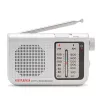 AIWA RS-55/SL Tragbares analoges AM/FM Taschenradio, Grau
