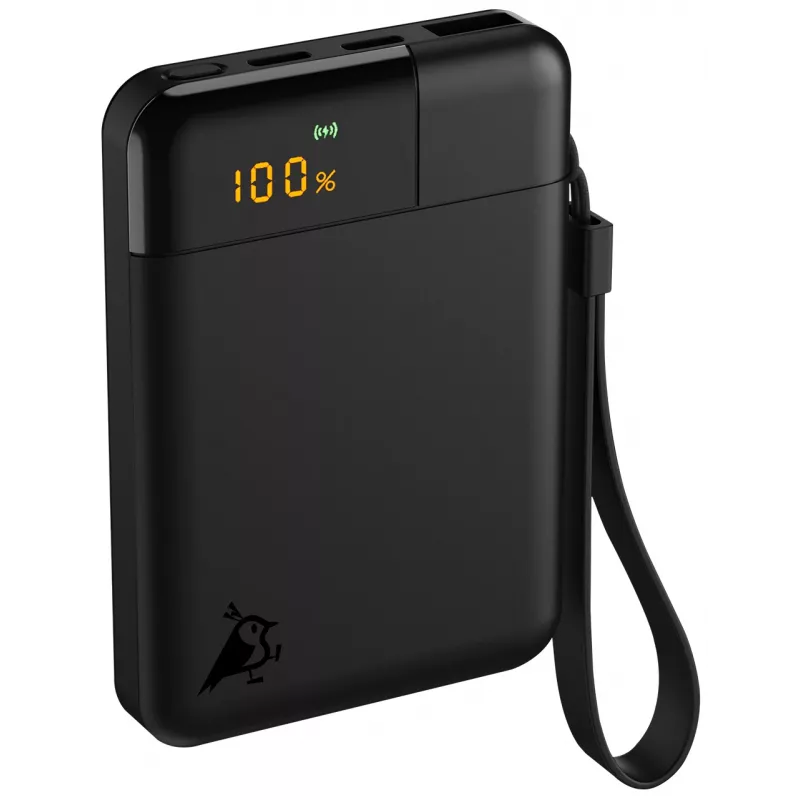 Aqiila Powerbird B5 Powerbank 12W Schwarz 5000 mAh (AQPBPBIB5BBK935)