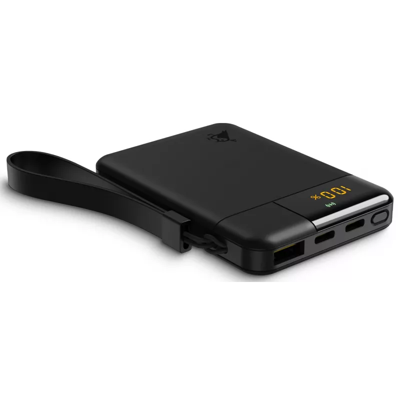 Aqiila Powerbird B5 Powerbank 12W Schwarz 5000 mAh (AQPBPBIB5BBK935)