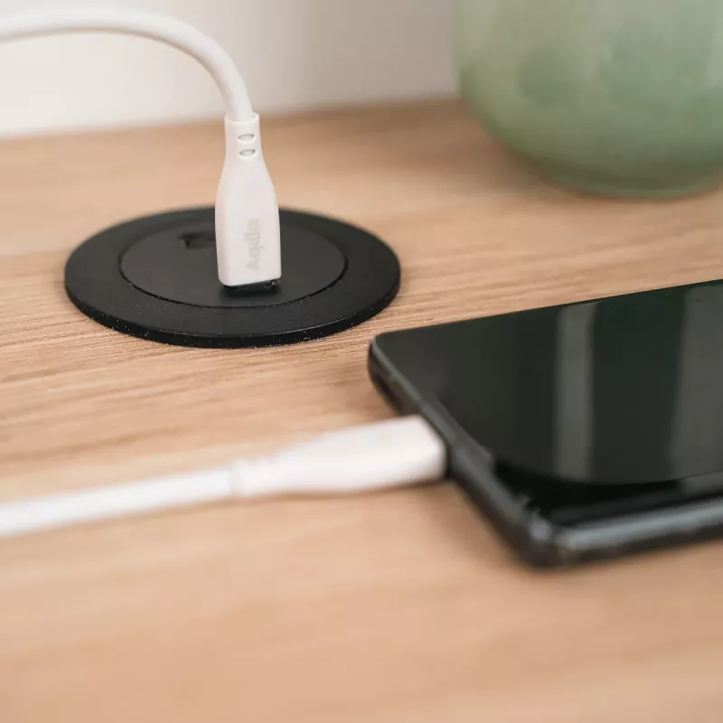 AQIILA Cablebird CS12 USB-C auf USB-C Lade- und Synchronisierungskabel 2m 60W Schwarz AQCBPBIC2SI829