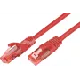 Wirewin PKW-UTP-KAT6 0,25 RT Netzwerkkabel 0,25 m Cat6 U/UTP (UTP) Rot