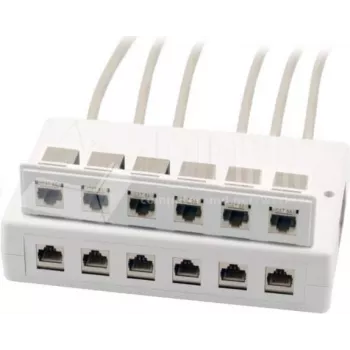 Wirewin 2x 6-Port Aufputzdose für Keystone-Module, Grau, Kunststoff Keystone-System (125460)
