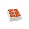 Wirewin SLIM-LS-K6A 3.0 OR 36 Cat6A U/FTP Slim Ethernet Patchkabel, 3m, Orange, 36er-Pack