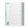 Oxford A4 Kunststoff-Register, 12-teilig, nummeriert 1-12, grau, PP 0,12 mm, Eurolochung 400033989