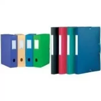 ELBA Memphis Sammelbox DIN A4, 40 mm Füllvolumen, grünes PP, beschriftbares Rückenetikett 98402914
