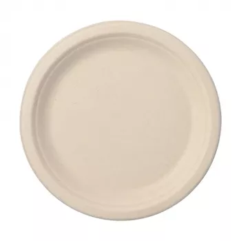 PAPSTAR Pure Zuckerrohr-Teller, rund, 230 mm, 50 Stück, kompostierbar, mikrowellengeeignet 89866