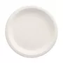 PAPSTAR pure Zuckerrohr Teller rund 230 mm 12er-Pack kompostierbar mikrowellengeeignet 89748