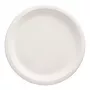 PAPSTAR pure Zuckerrohr-Teller, rund, 260 mm, 50 Stück, kompostierbar, mikrowellengeeignet (89738)