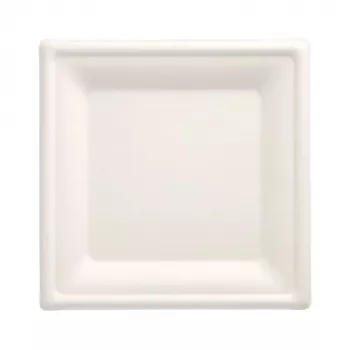 PAPSTAR Pure Zuckerrohr-Teller, quadratisch, 200 x 200 mm, 50 Stück, kompostierbar, mikrowellengeeignet 89744