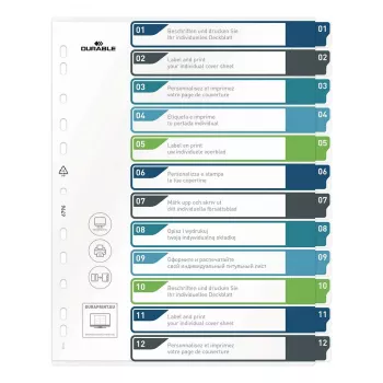 DURABLE 679627 A4+ Polypropylen Blanko Register, Mehrfarbig, Hochformat, 0,27 mm, 11-Loch Universal-Stanzung