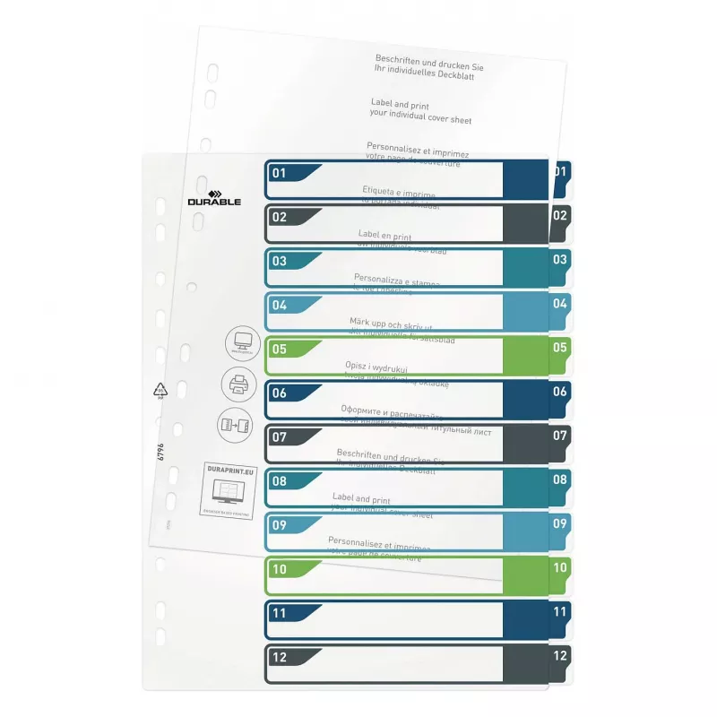 DURABLE 679627 A4+ Polypropylen Blanko Register, Mehrfarbig, Hochformat, 0,27 mm, 11-Loch Universal-Stanzung