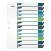 DURABLE 679627 A4+ Polypropylen Blanko Register, Mehrfarbig, Hochformat, 0,27 mm, 11-Loch Universal-Stanzung