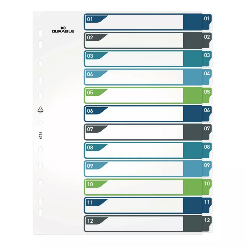 DURABLE 679627 A4+ Polypropylen Blanko Register, Mehrfarbig, Hochformat, 0,27 mm, 11-Loch Universal-Stanzung