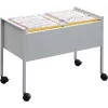 DURABLE Hängeregistraturwagen ECONOMY DUO 100 A4, Hellgrau 308210